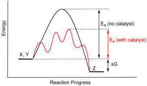 Before and After Energy Output Involving a Catalyst